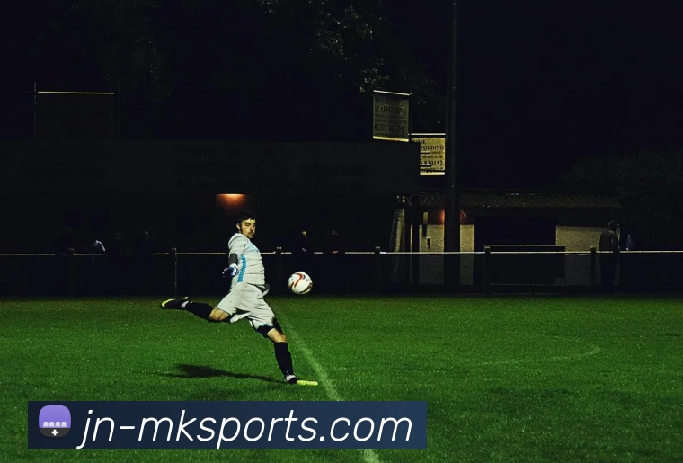 MK体育平台生态图