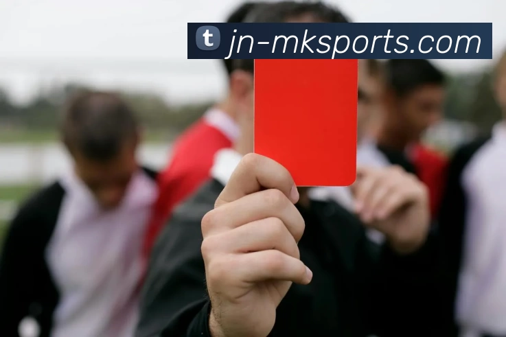 MK体育APP 封面图